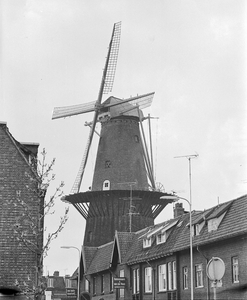 855723 Gezicht op de molen Rijn en Zon aan de Adelaarstraat te Utrecht, tijdens de restauratie, vanuit de Merelstraat.